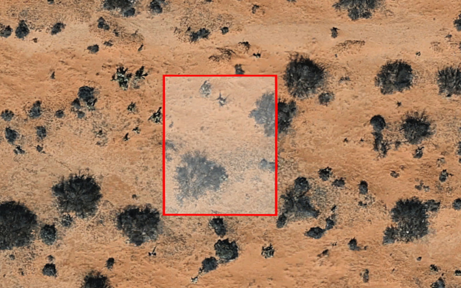 0.24 Acre lot off TBD Dr in El Paso, Texas! INVEST NOW!!_H784-045-0020-0030