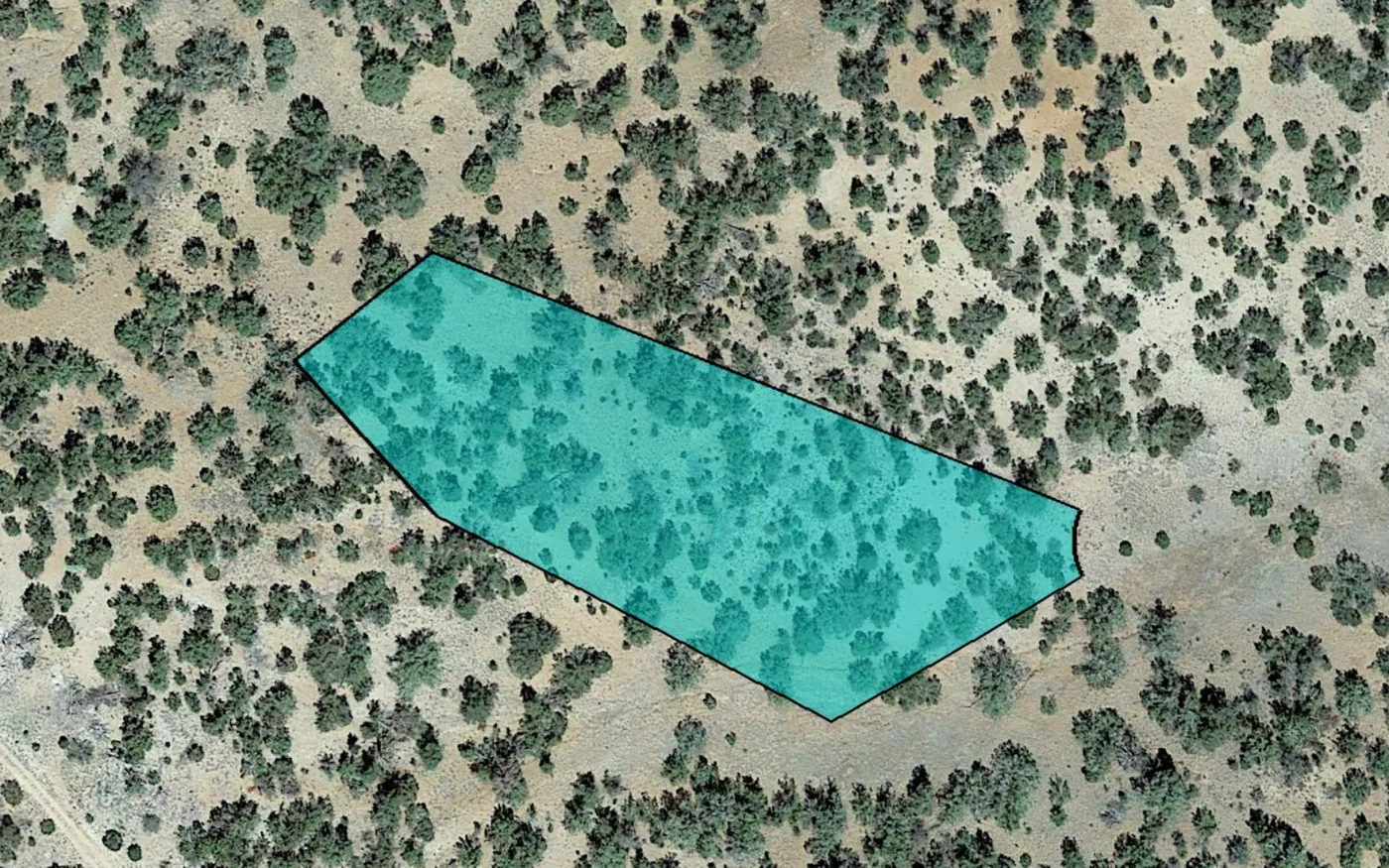 1.52 Acre lot off Cisne Cir in Seligman, AZ! INVEST NOW!!-301-42-042, photo 2