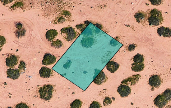 0.23 Acre lot off Berryville St in El Paso, Texas! INVEST NOW!!-H784-061-0110-0340