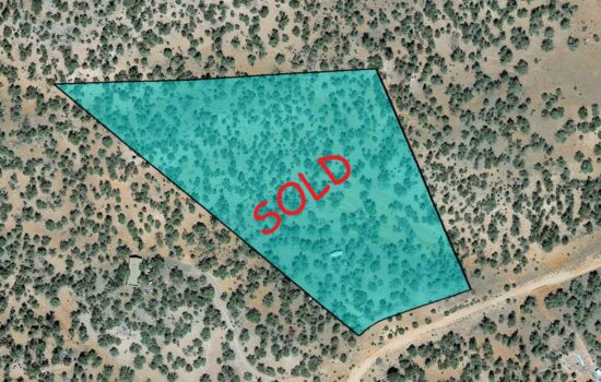 6.13 Acre lot off Mesa Prwy in Seligman, AZ! INVEST NOW!!-301-24-046