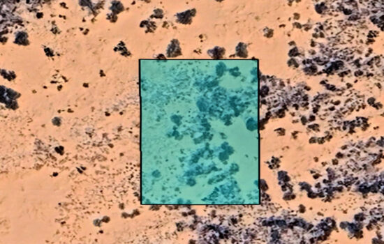 0.5 Acre lot off Horizon BLVD in El Paso, Texas! INVEST NOW!!-H779-017-1460-0300