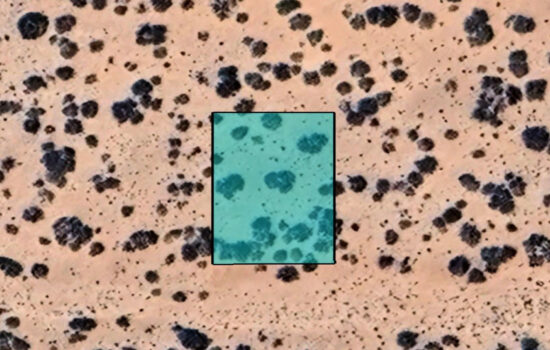 0.23 Acre lot off Kalil Dr in El Paso, Texas! INVEST NOW!!-H784-100-0040-0020_D