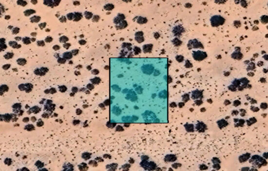 0.23 Acre lot off Kalil Dr in El Paso, Texas! INVEST NOW!!-H784-100-0040-0020_F