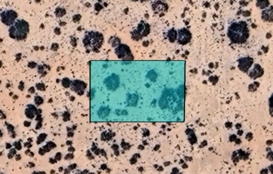 0.24 Acre lot off Buckeye Ln in El Paso, Texas! INVEST NOW!!-H784-101-0010-0240_B